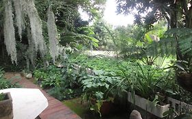 Almar View Guest House